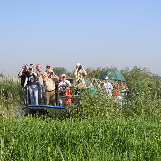 Rondvaart Sterling Nationaal Park de Biesbosch Dordrecht