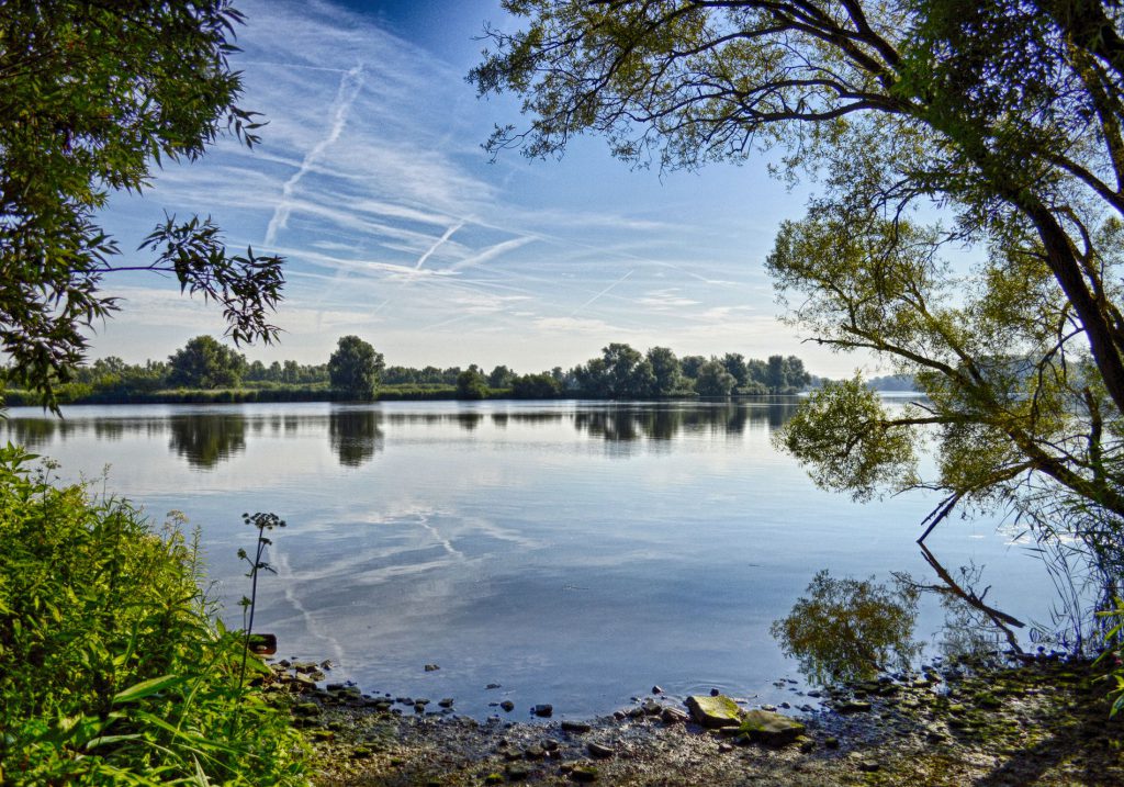 nationaal Park de Biesbosch - natuur Dordrecht