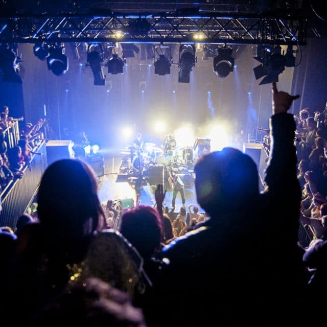 Concert en optredens Bibelot Energiehuis Dordrecht