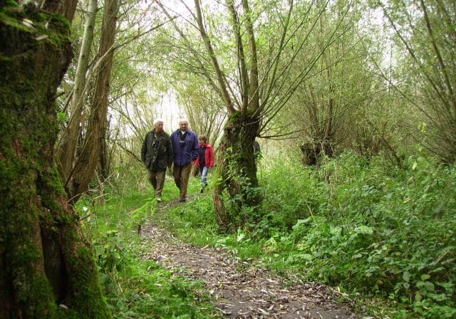wandelen - wandelaars - natuur