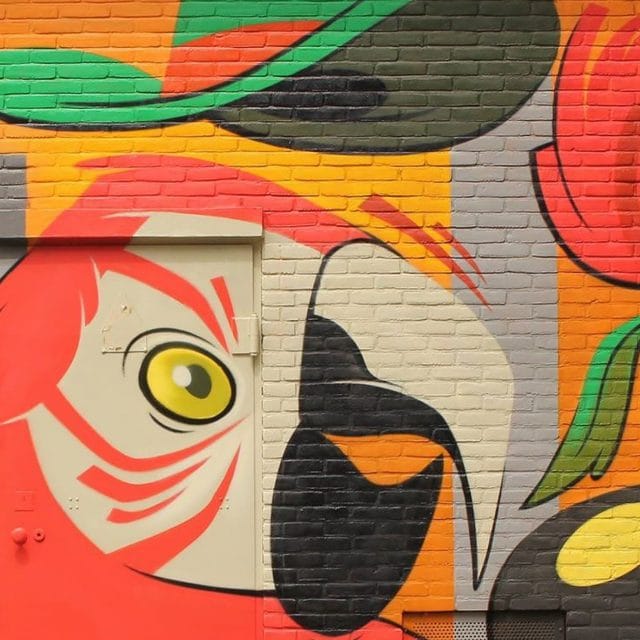 Street Art tour wandeling Dordrecht