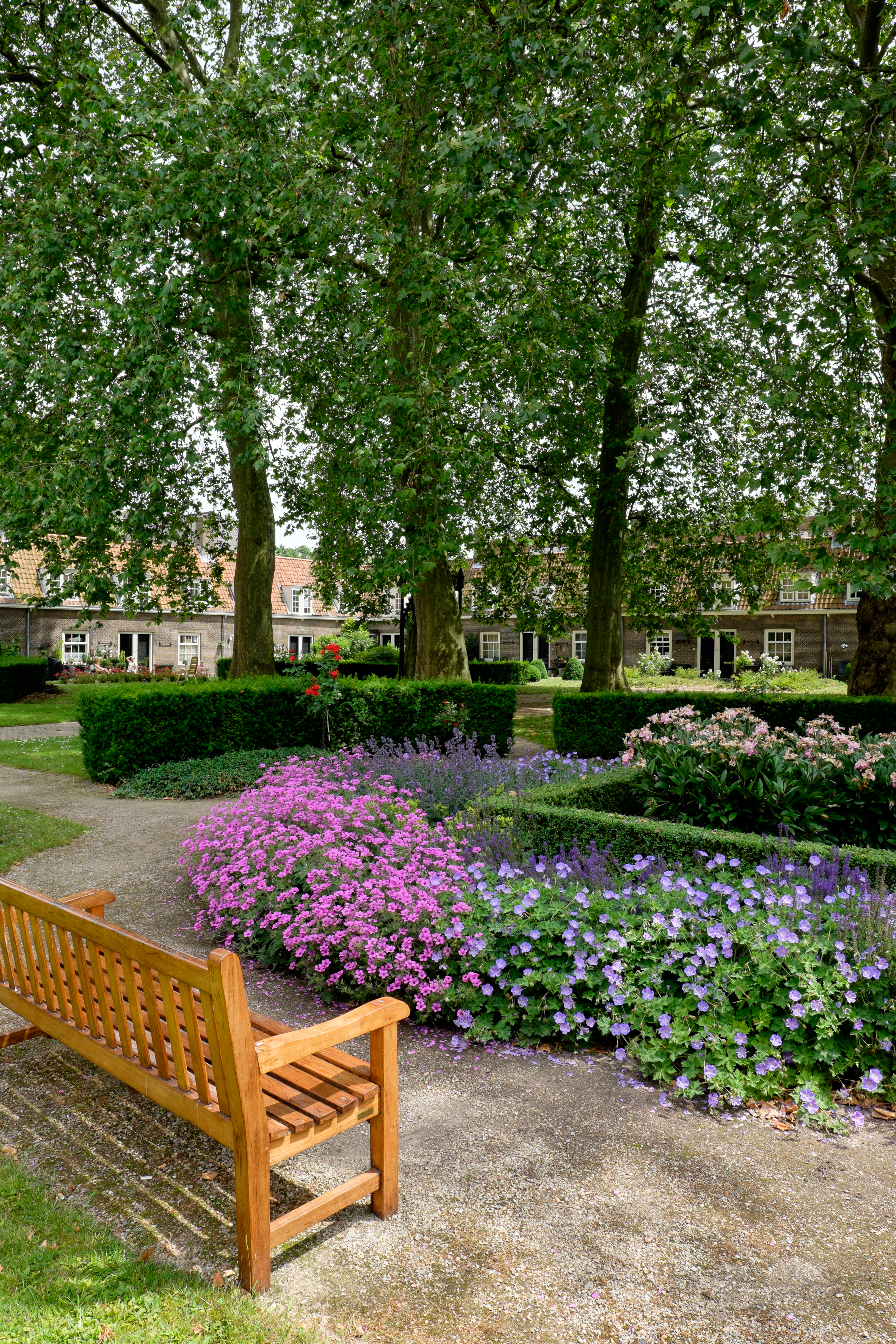 Hofjesroute Arend Maartenshof hof Dordrecht