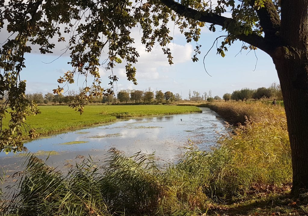 wandelen - fietsen - natuur