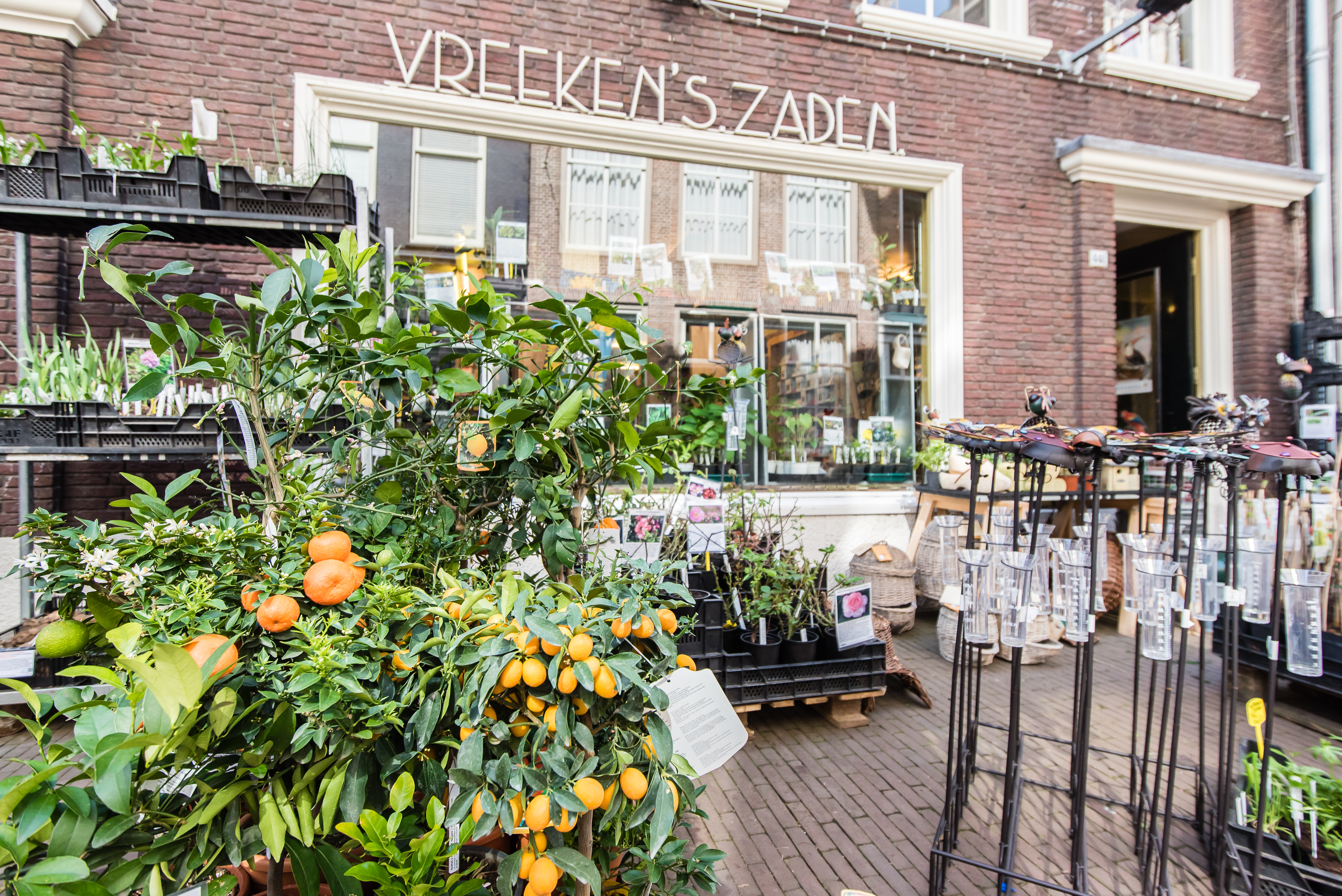 Vreekens Zaden - Dordrecht - Voorstraat - seeds and plants - organic - sustainable - vegetable garden