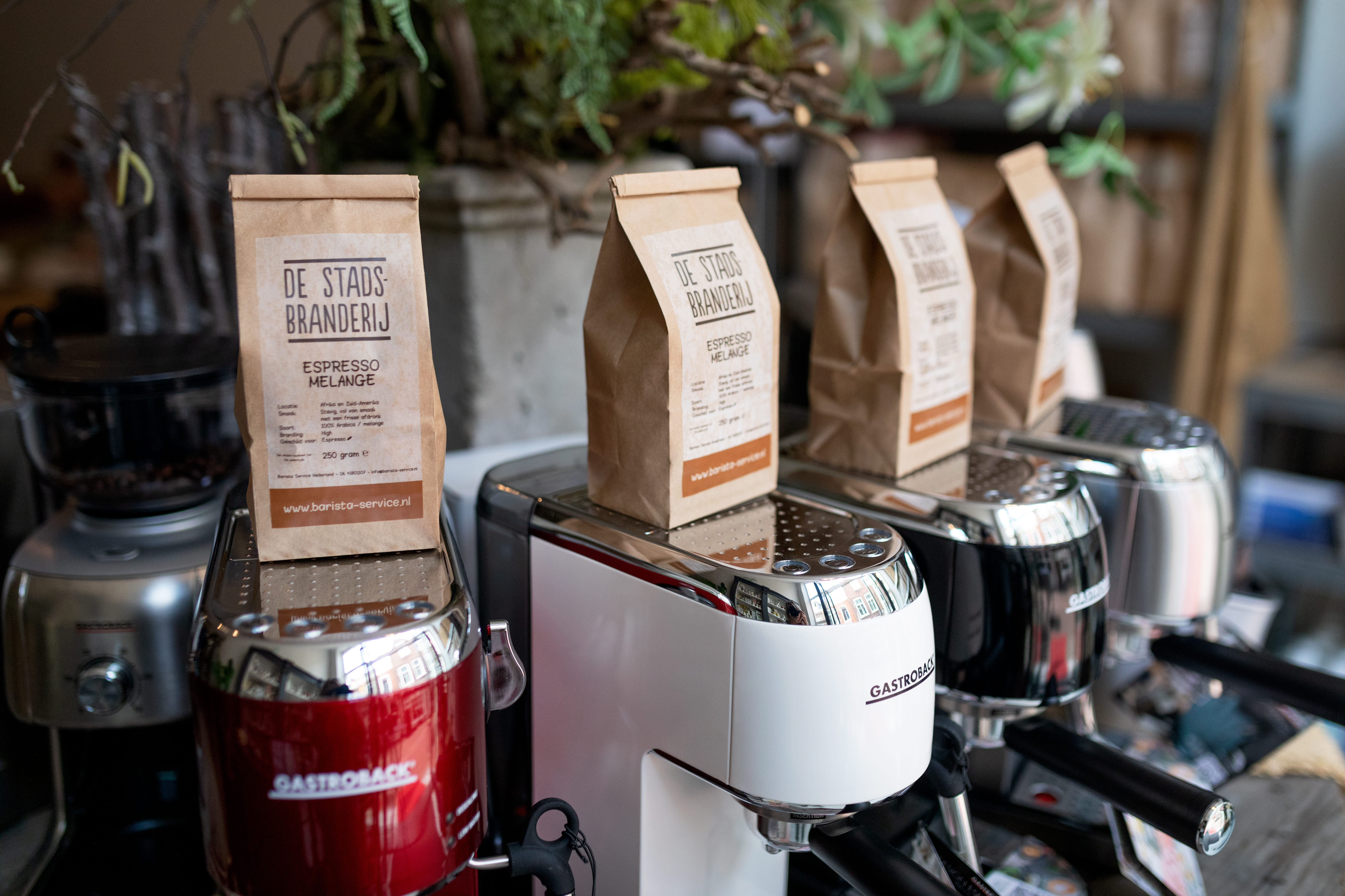 City Roastery - Dordrecht - coffee - coffee beans