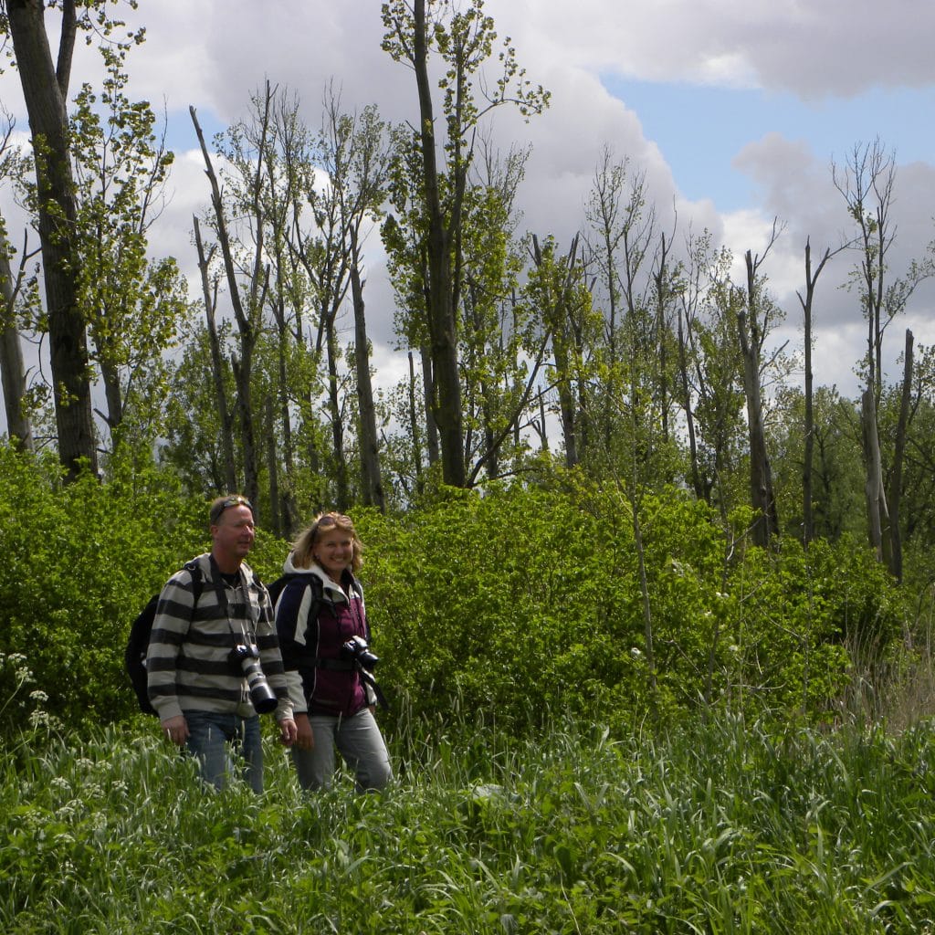 Huiswaard - ramblers - Biesbosch National Park