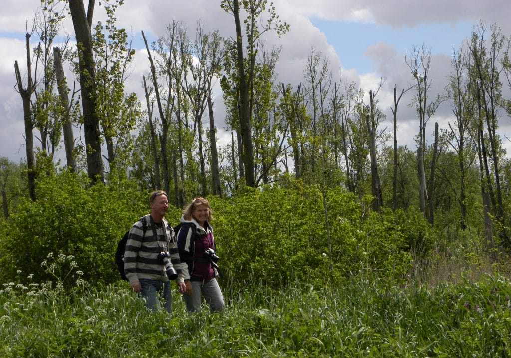 Huiswaard - wandelaars - Nationaal Park de Biesbosch