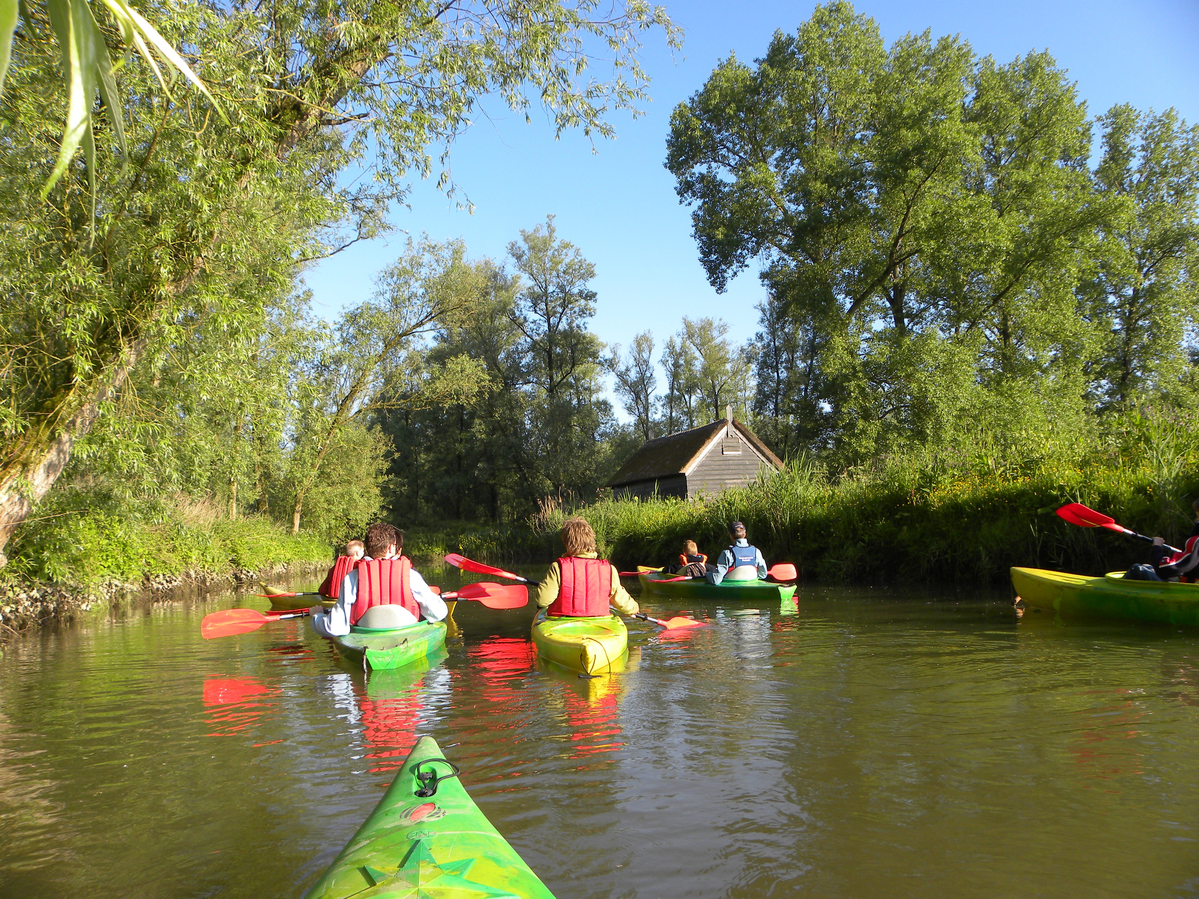 Kano groep excursie Biesbosch Dordrecht