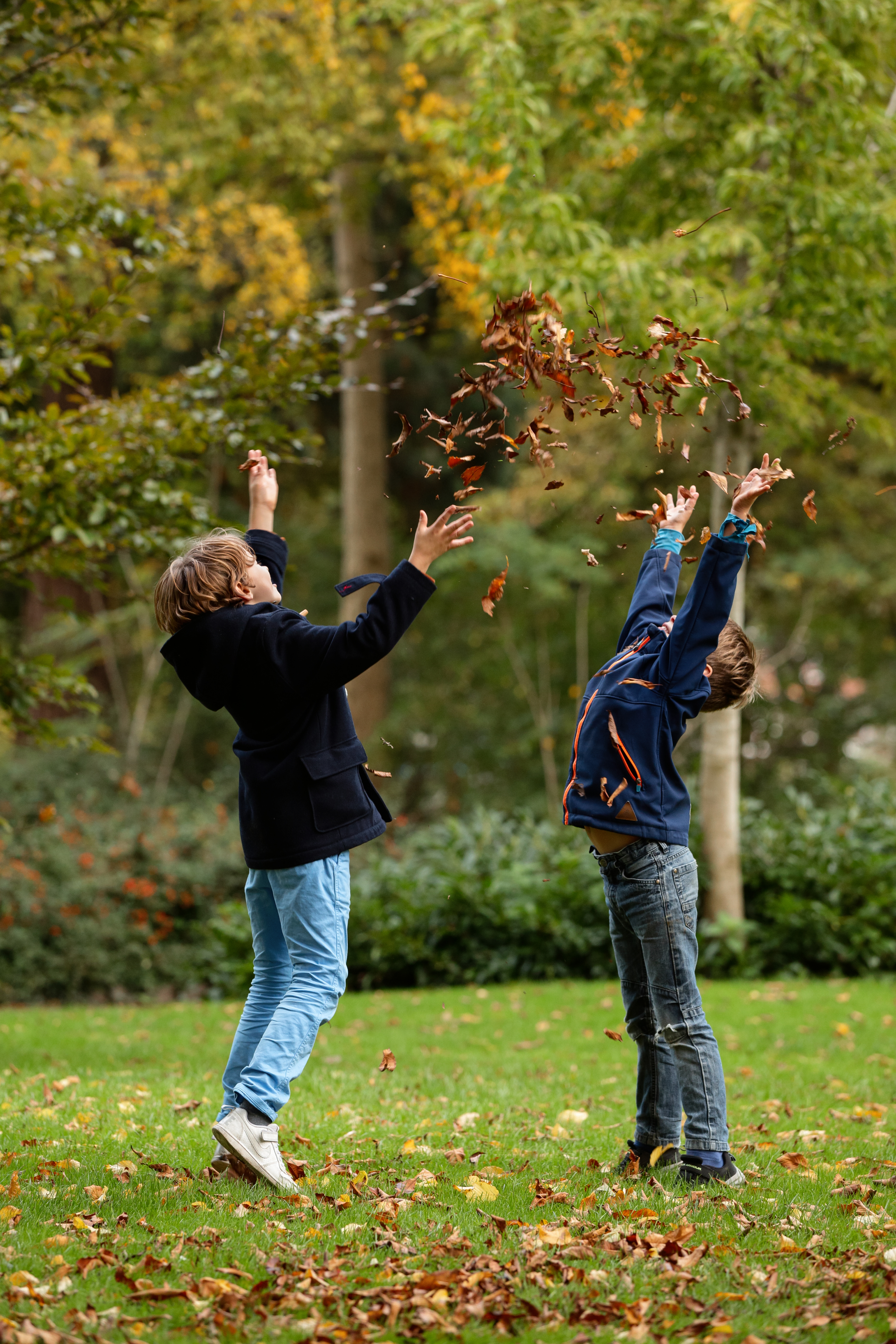 Park Merwestein - Dordrecht
