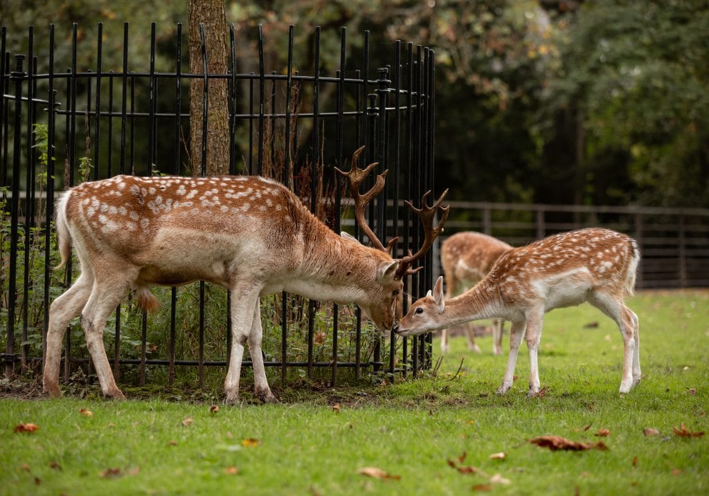 Park Merwestein - Dordrecht