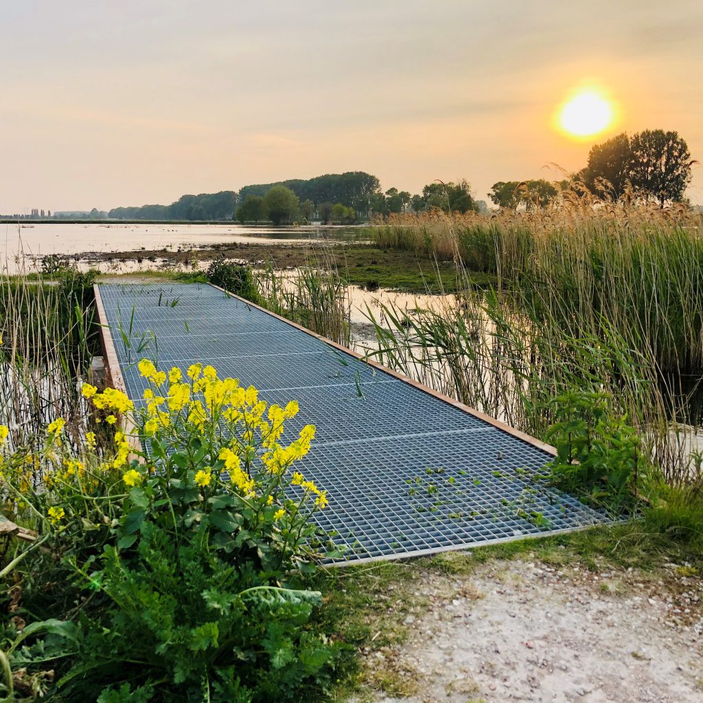 Biesbosch - nature - walking route - cycling