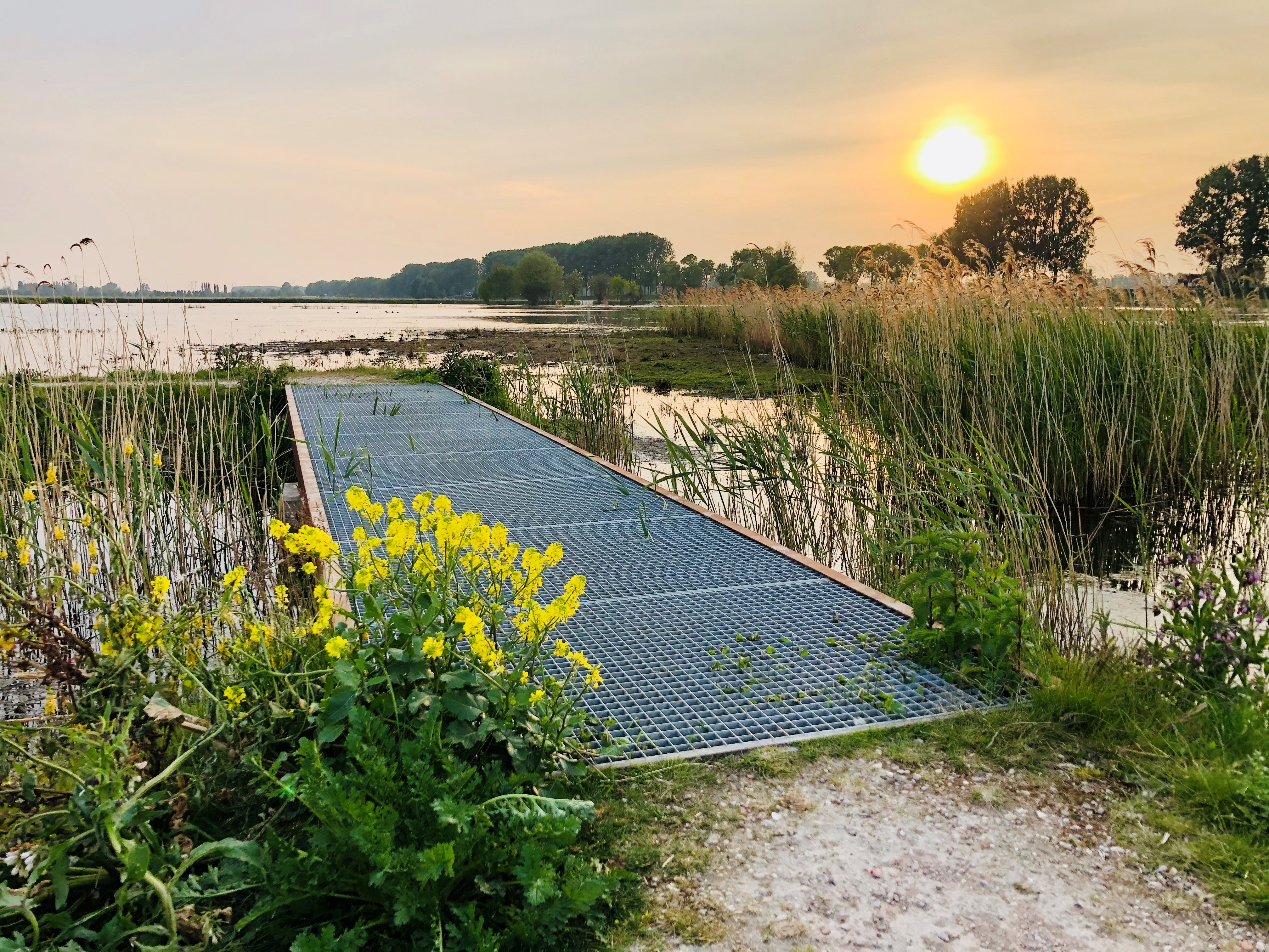 Biesbosch - nature - walking route - cycling