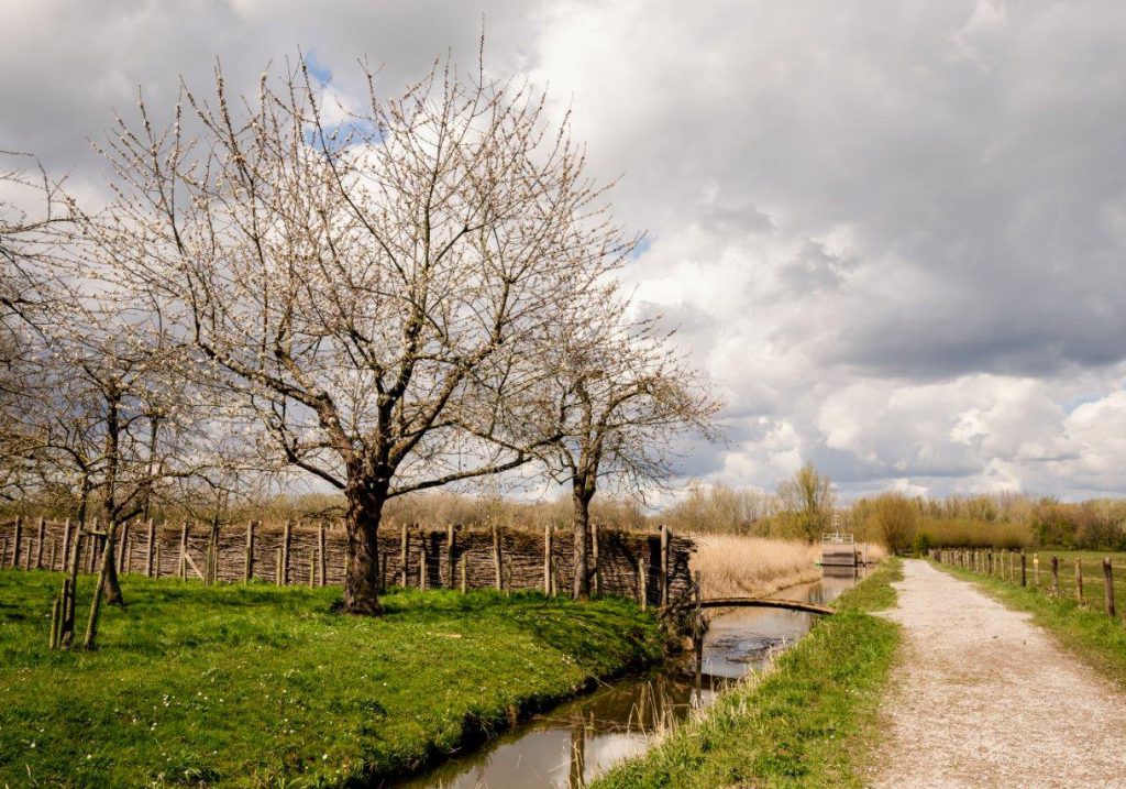 Ecolodge Zuileshoeve Biesbosch Dordrecht