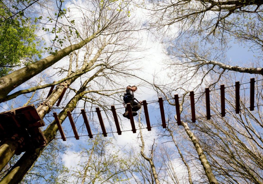 Klimbos Biesbosch Dordrecht