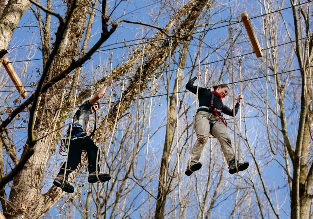 Klimbos Biesbosch Dordrecht