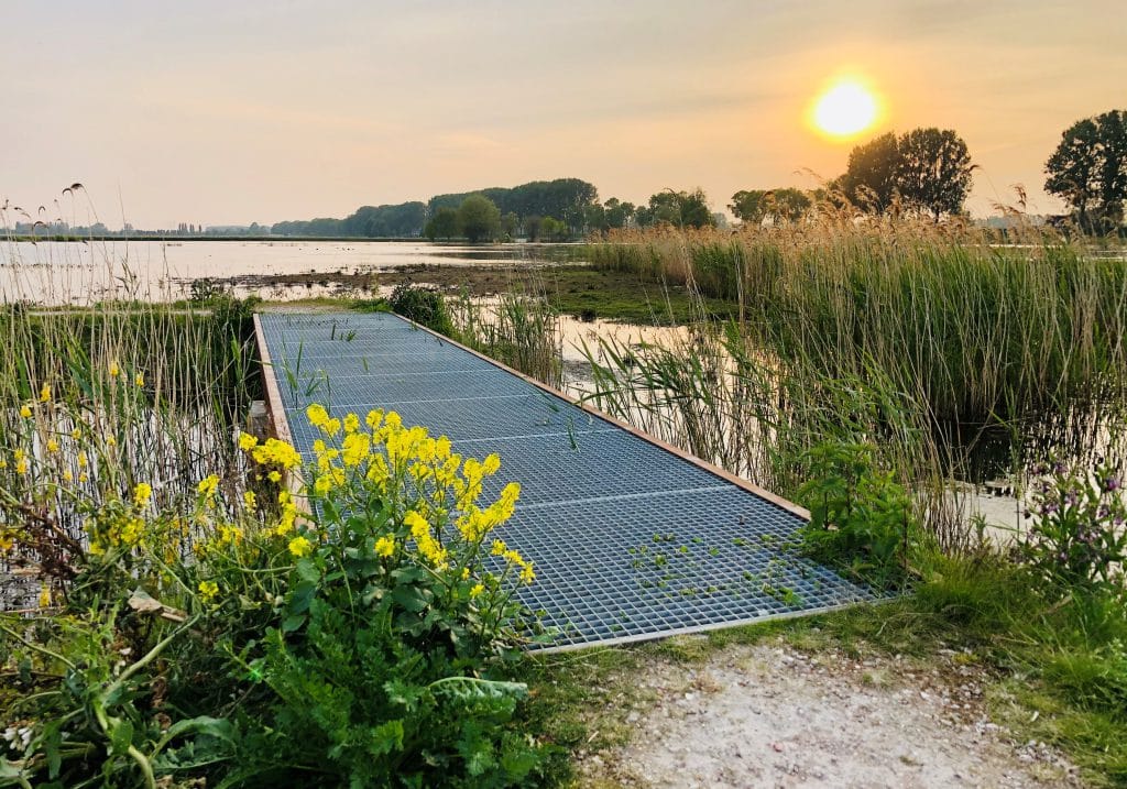 Stedentrip Nederland Wandelen Nieuwe Dordtse Biesbosch Dordrecht