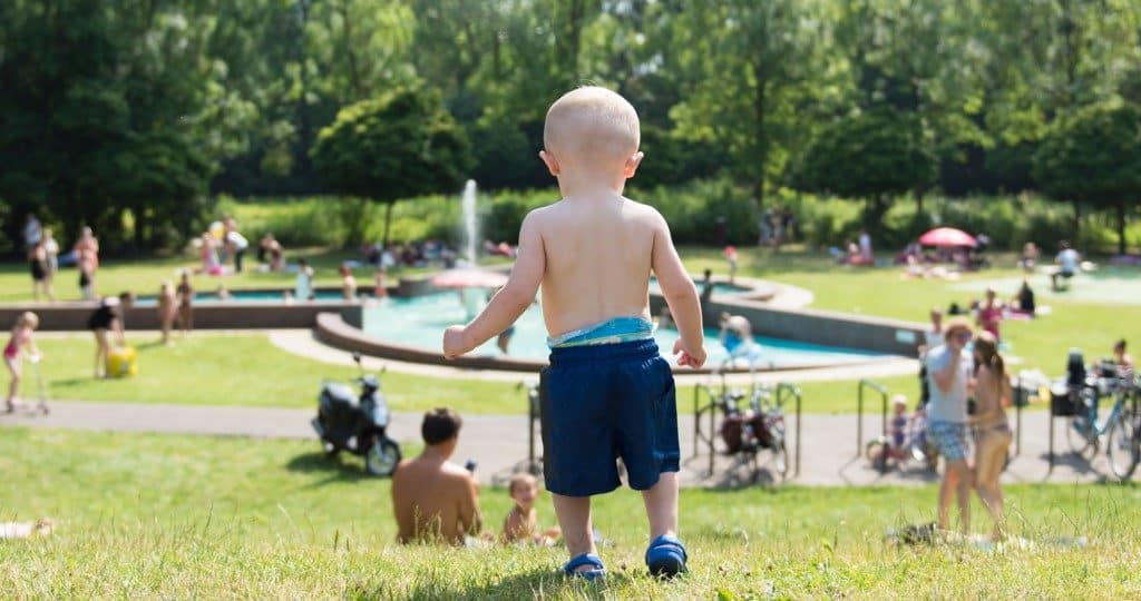 De Paddenstoel Wantijpark zwembad (4)