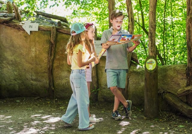 Beaver scavenger hunt beaver forest children activities Biesbosch summer nature Dordrecht (2)