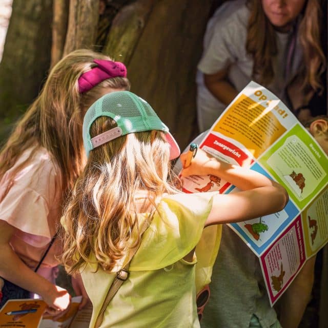 Beverspeurtocht beverbos kinderen activiteiten Biesbosch zomer natuur Dordrecht (3)