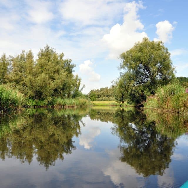 Nationaal Park de Biesbosch Dordrecht