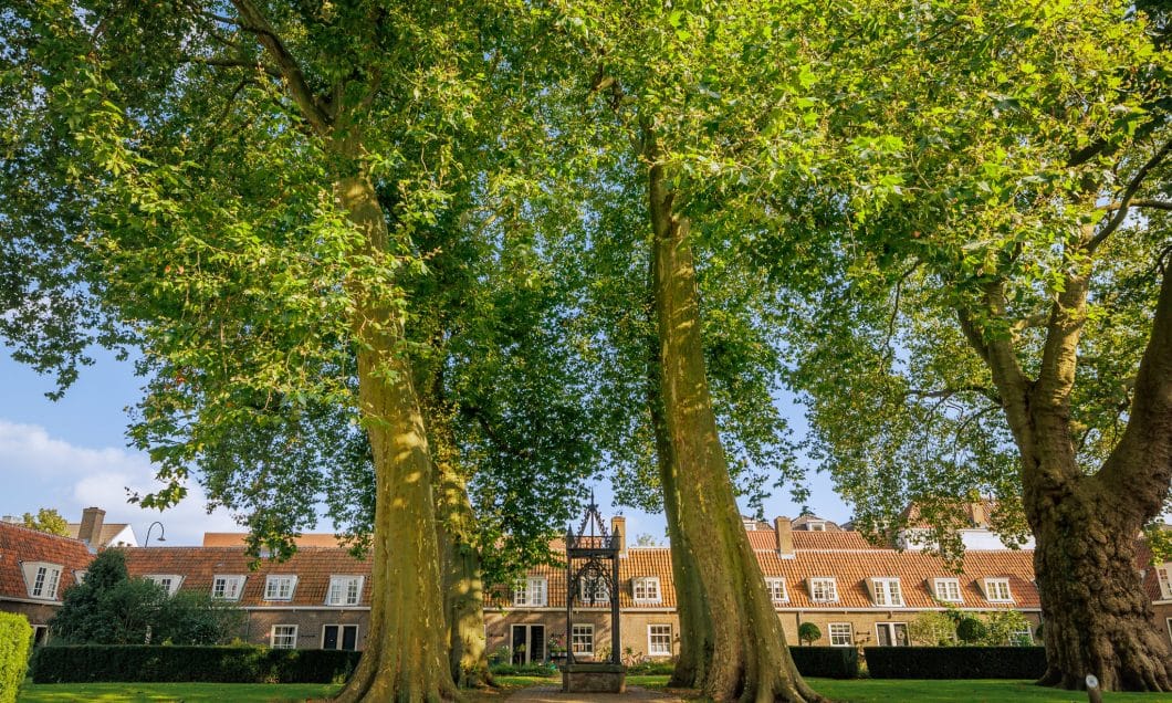 Arend Maartenshof monumentale bomen bomenridders wandeling Open Monumentendagen Dordrecht Bram Vreugdenhil