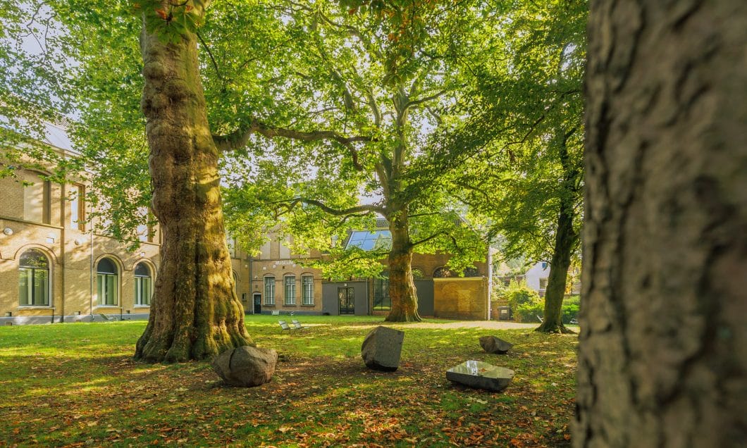 Dordrechts Museum monumentale bomen bomenridders wandeling Open Monumentendagen Dordrecht Bram Vreugdenhil