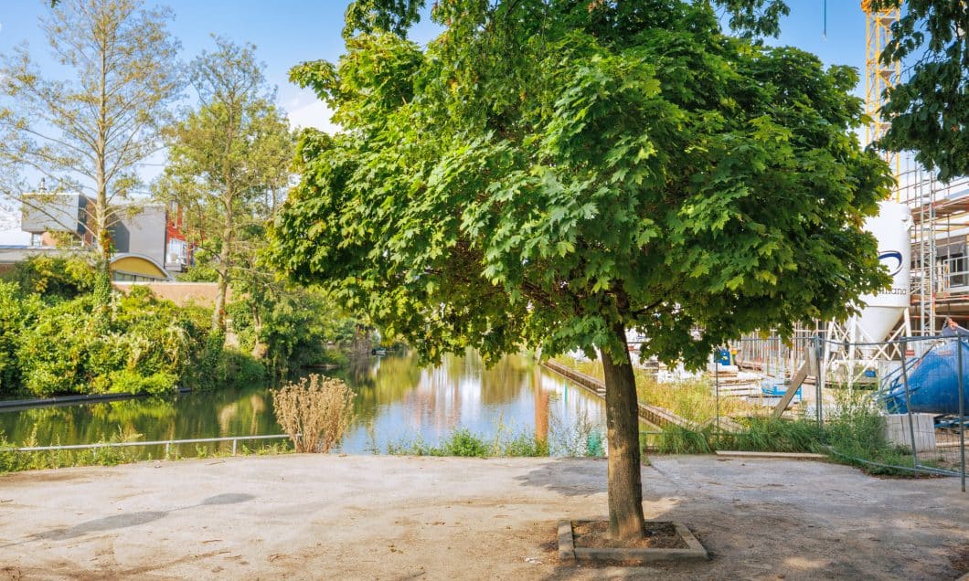 Sint Jorisbrug monumentale bomen bomenridders wandeling Open Monumentendagen Dordrecht Bram Vreugdenhil