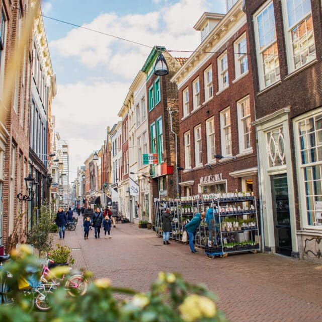 Vreekens Zaden winkelen tuin planten Voorstraat West centrum Dordrecht (2)