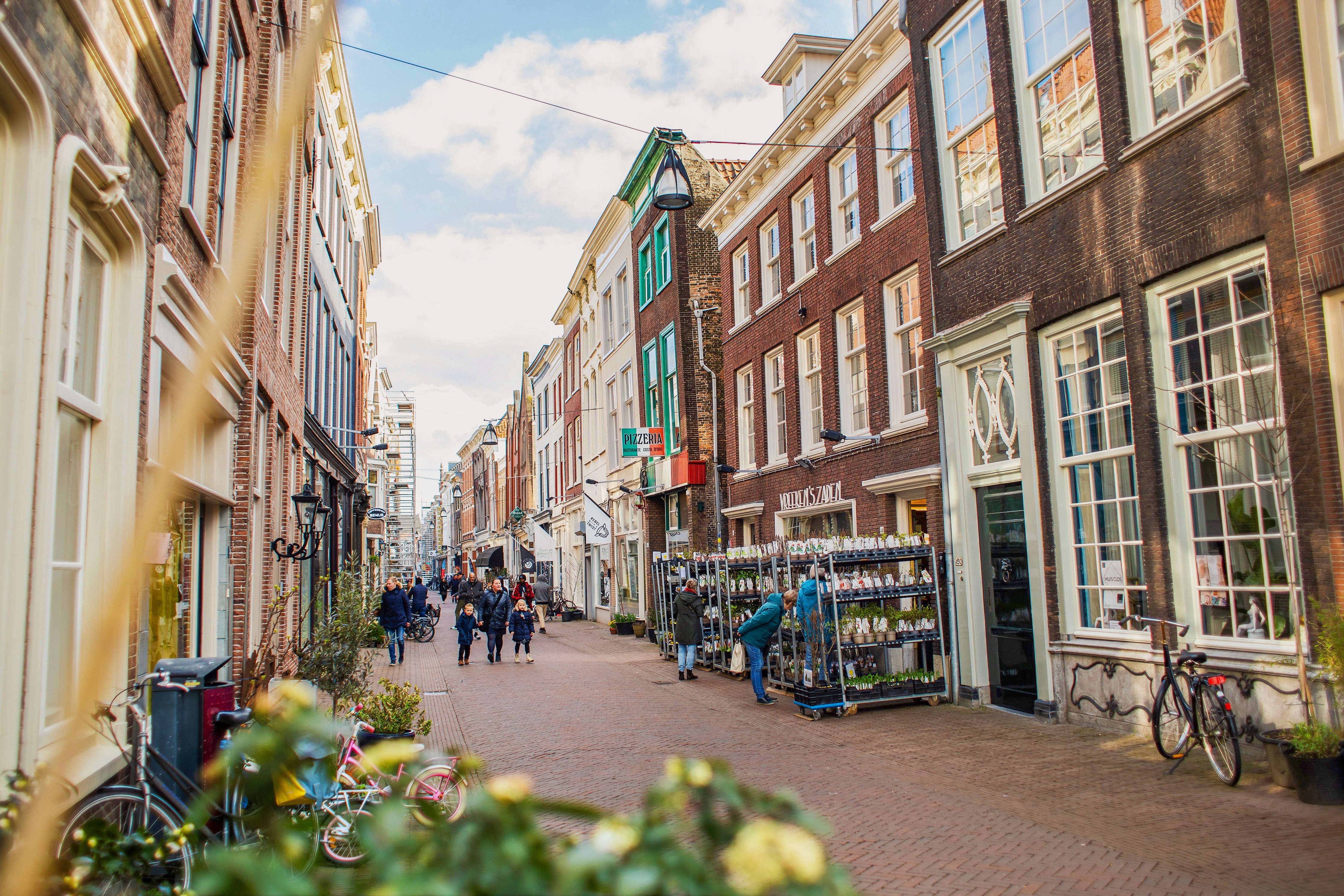 Vreekens Zaden winkelen tuin planten Voorstraat West centrum Dordrecht (2)