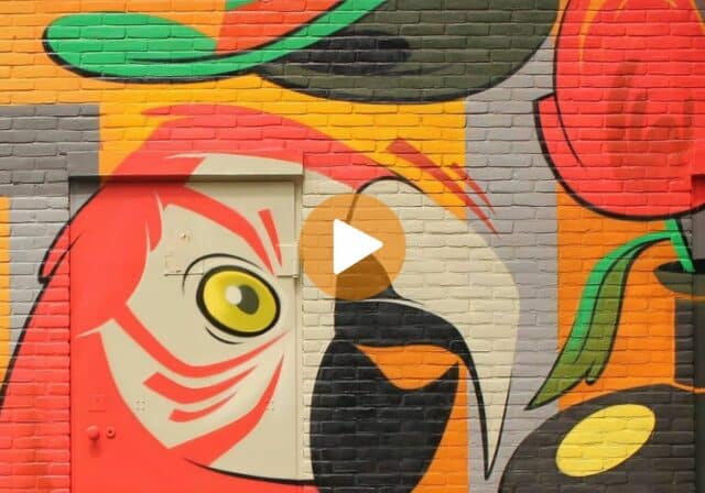 Uitgelichte afbeelding reel Street Art & Murals