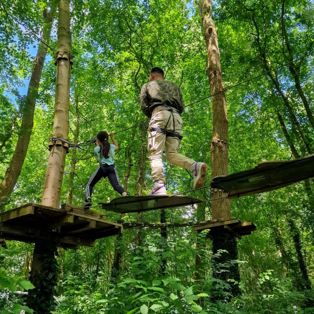 Climbing forest children activities Biesbosch Dordrecht