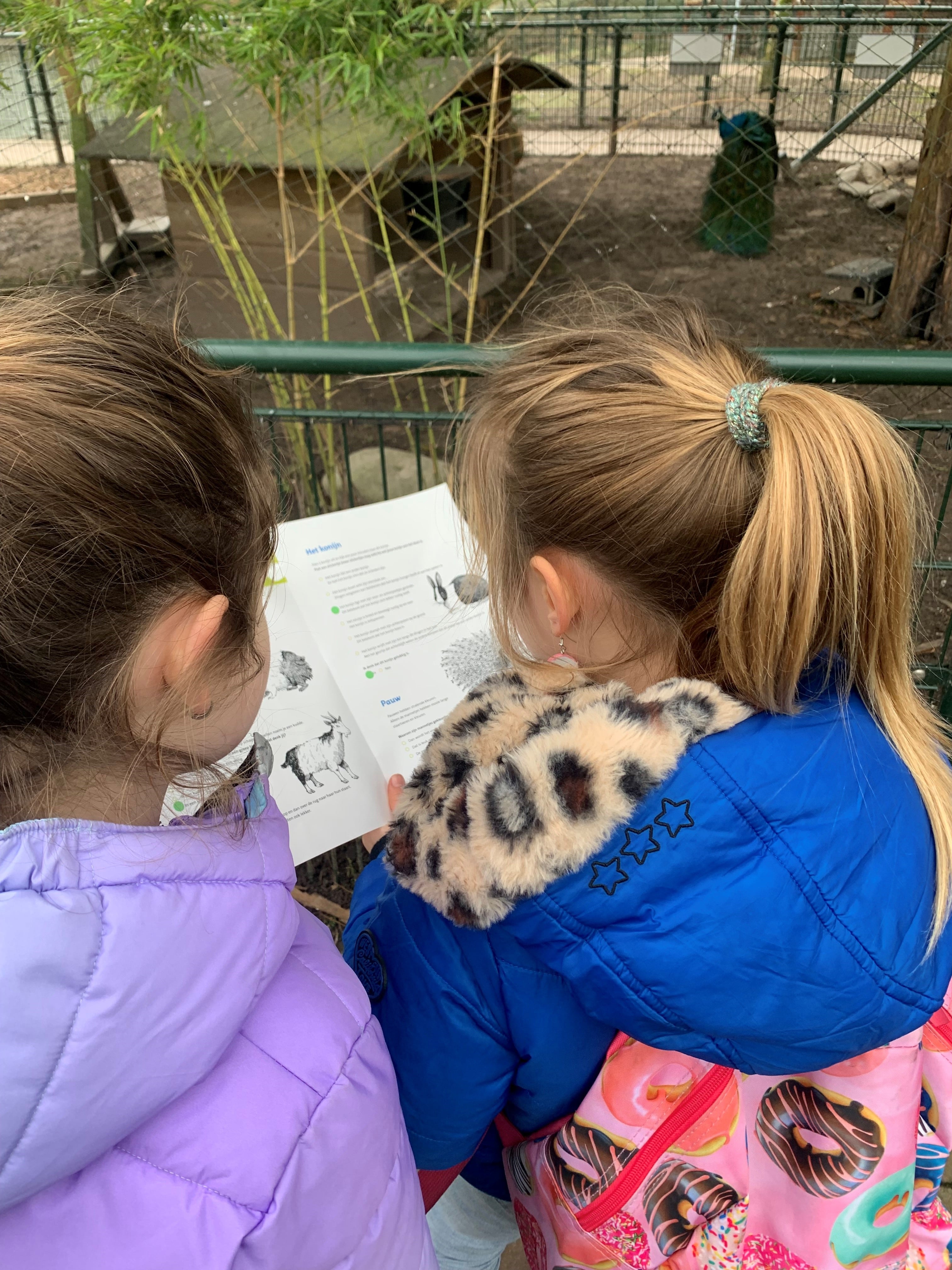 Weizigt Dierenvrienden