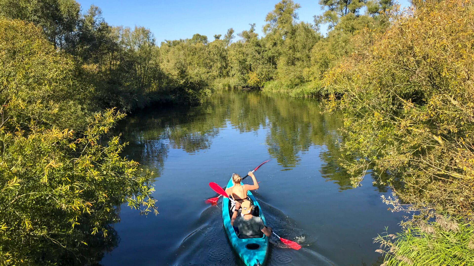 Biesbosch kano varen water natuur nationaal park Dordrecht