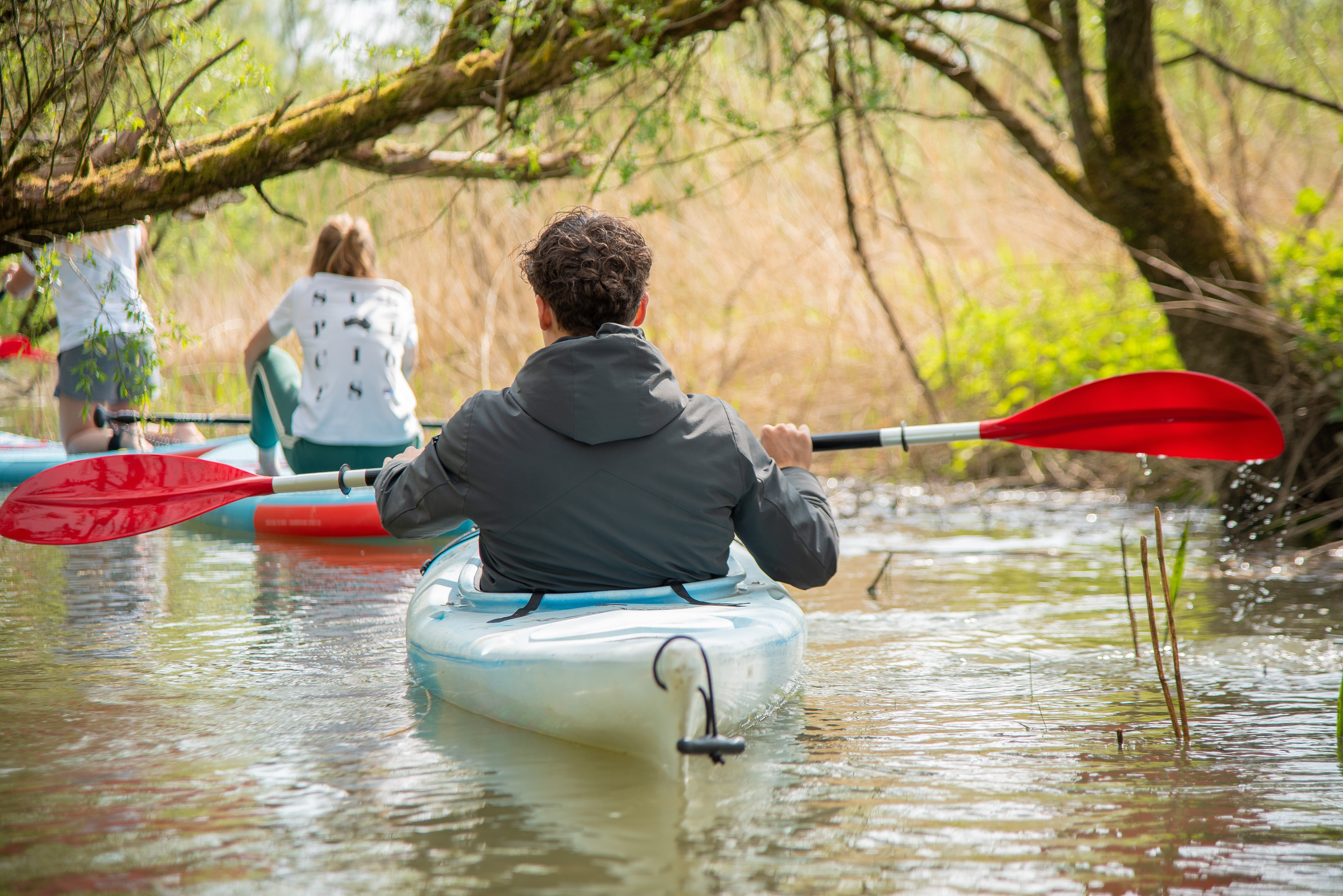 DRIJF Biesbosch water kajak kano Dordrecht