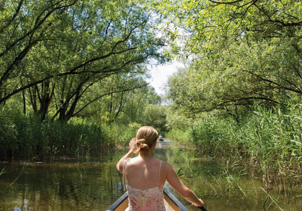 Nationaal Park de Biesbosch kano recreatie zomer Dordrecht